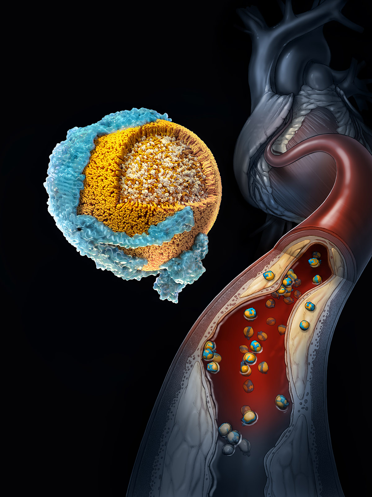 3D illustration of the makeup of LDL cholesterol in the bloodstream 