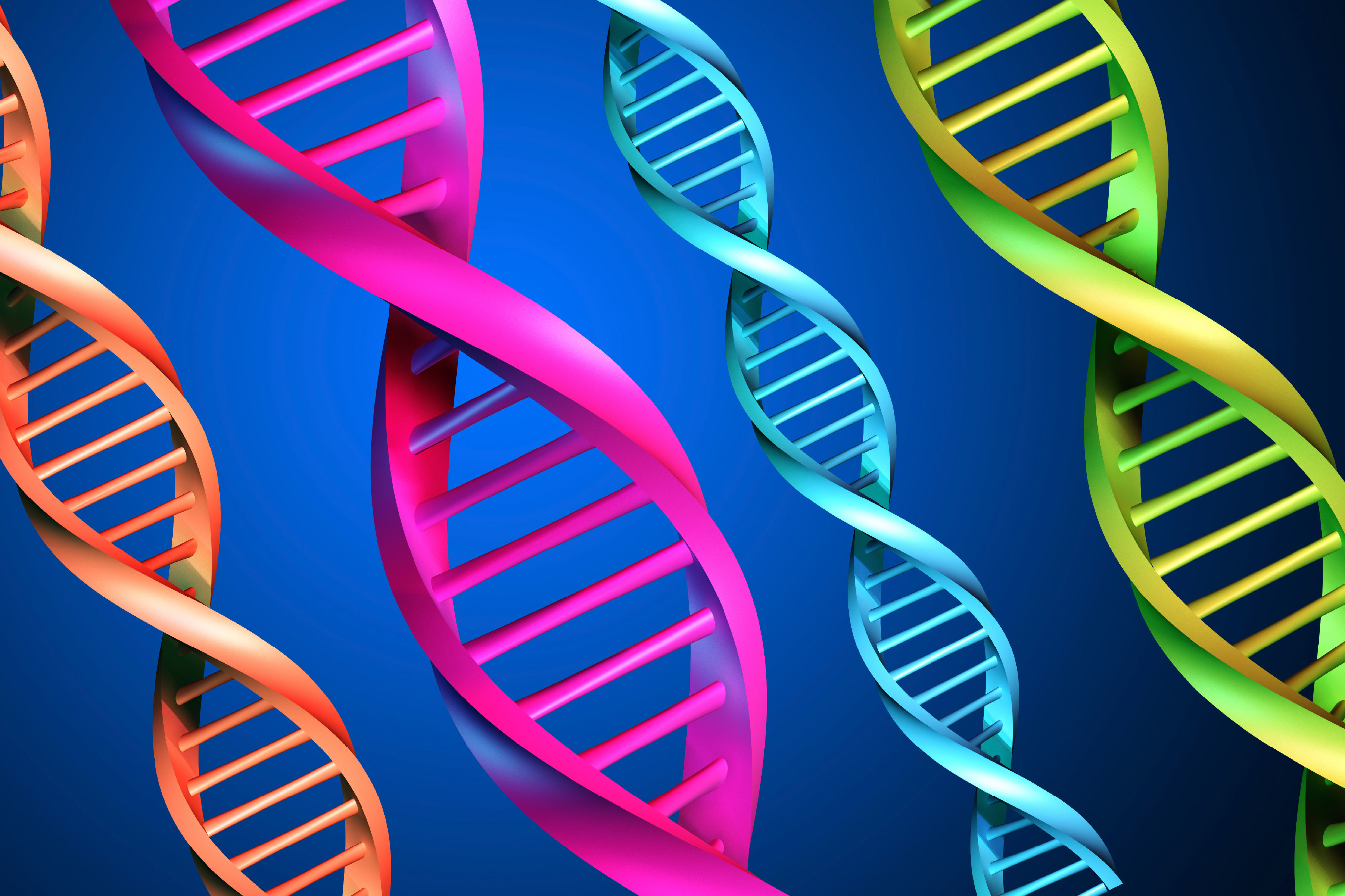 Illustration of 4 strands of DNA in different colors