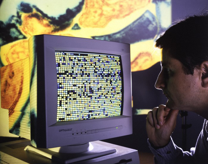 Photo of scientist examining computer monitor