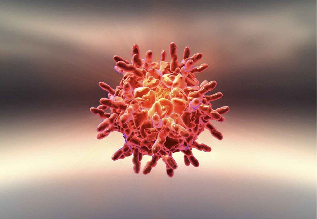 Understanding a Common Cold Virus | National Institutes of Health (NIH)