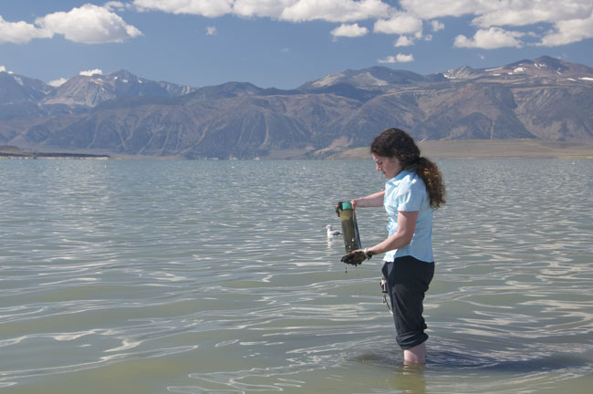 Photo of a woman standing in shallow water with a specimen jar