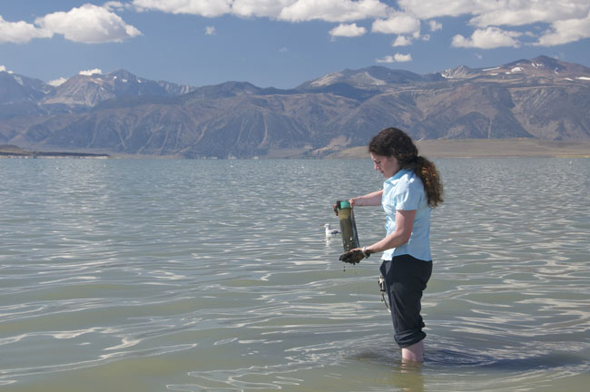 Photo of a woman standing in shallow water with a specimen jar Photo of a woman standing in shallow water with a specimen jar