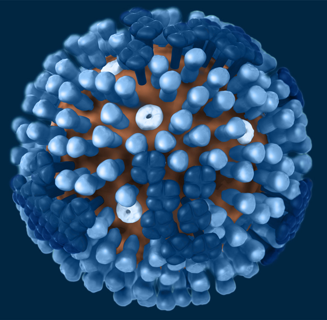 3D graphic of a sphere with stubby spikes 3D graphic of a sphere with stubby spikes