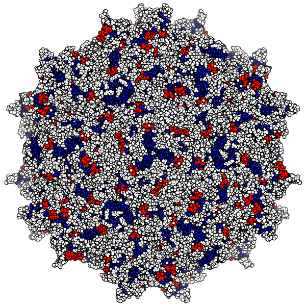 Illustration of a spherical virus 