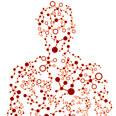 Illustration of human body with various proteins throughout.