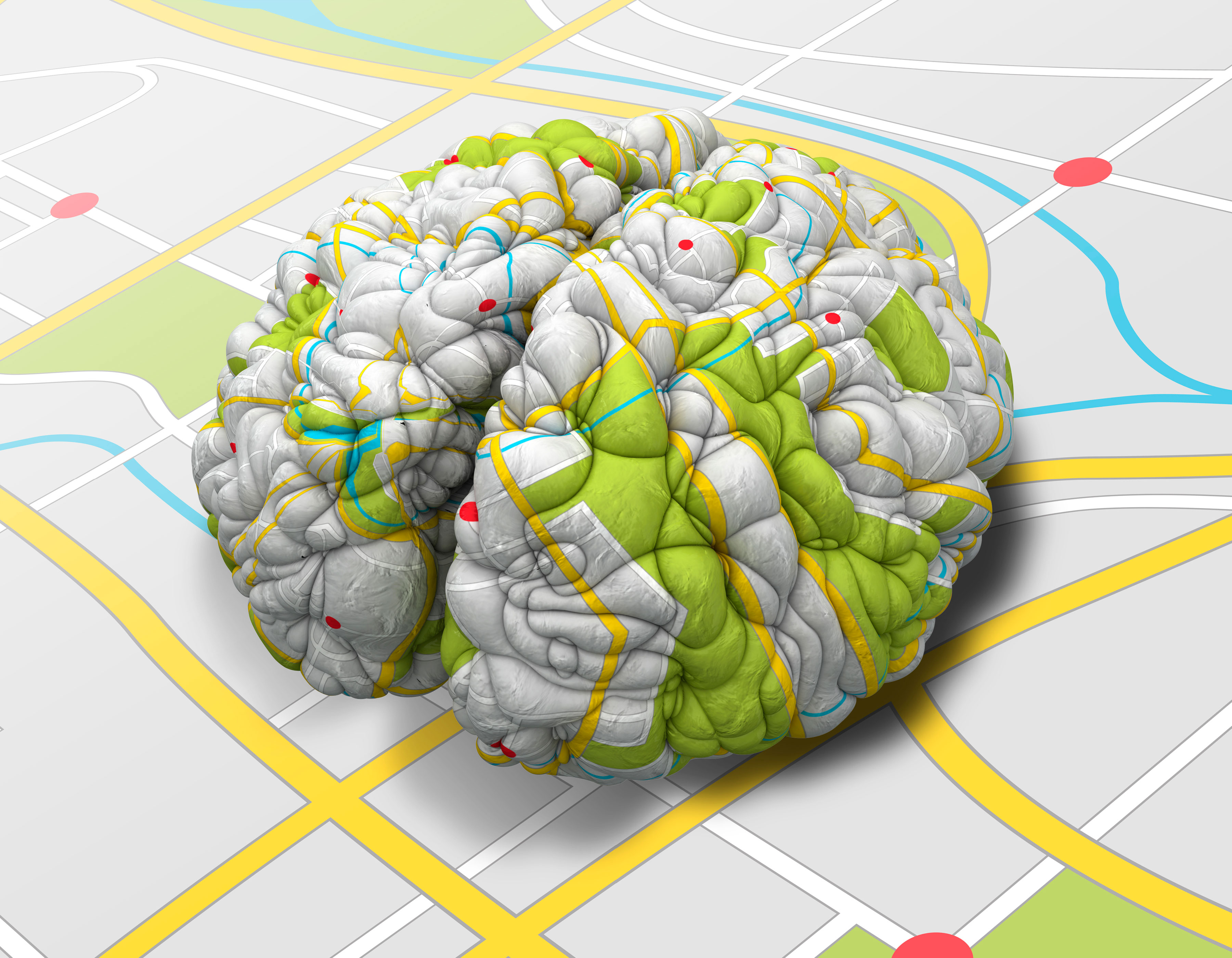 Brain карта. Нейропластичность мозга. Карта мозга. Нейрокарты мозга. Нейропластичность мозга и память.