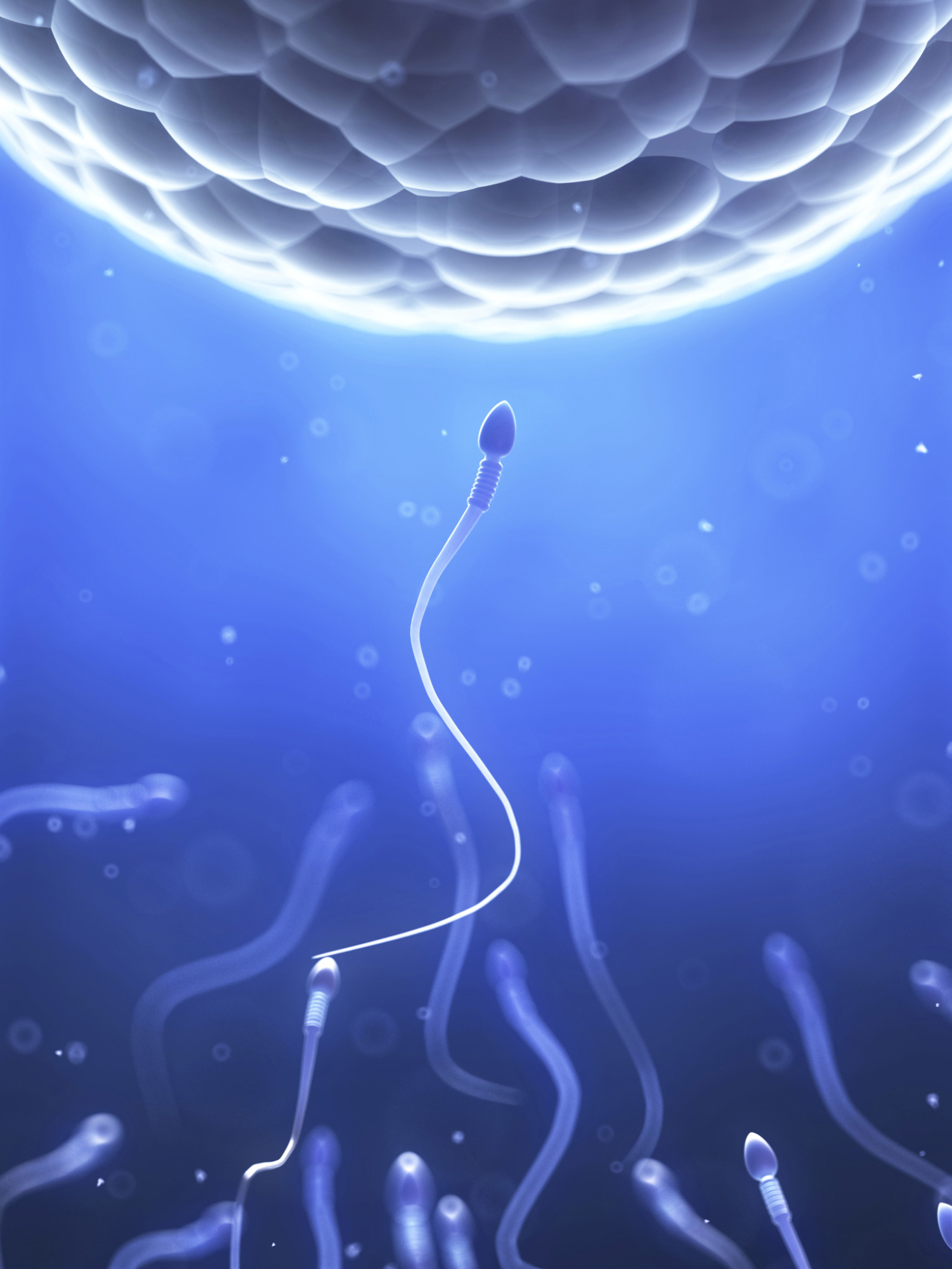 Blue Sperm