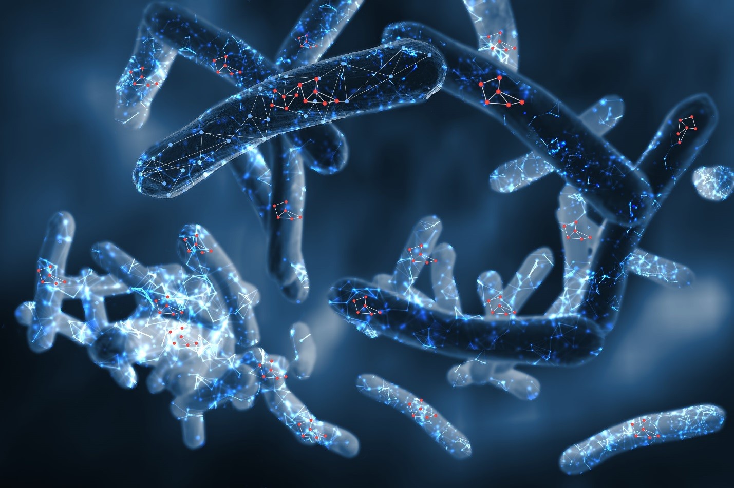 Illustration of Mycobacterium tuberculosis Illustration of Mycobacterium tuberculosis