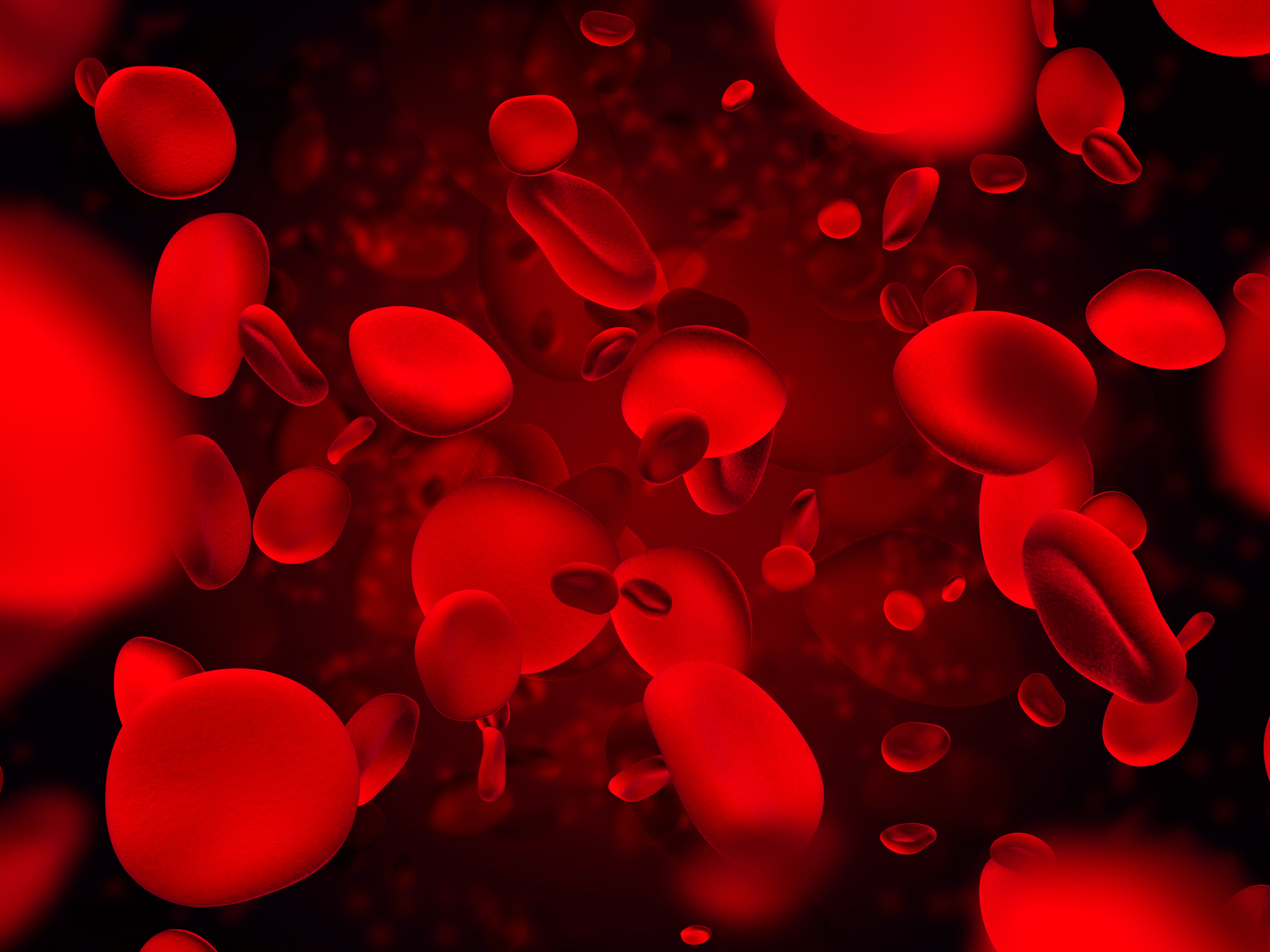 Red blood cells