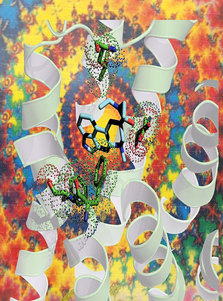 Protein structure reveals how LSD affects the brain | National Institutes of Health (NIH)