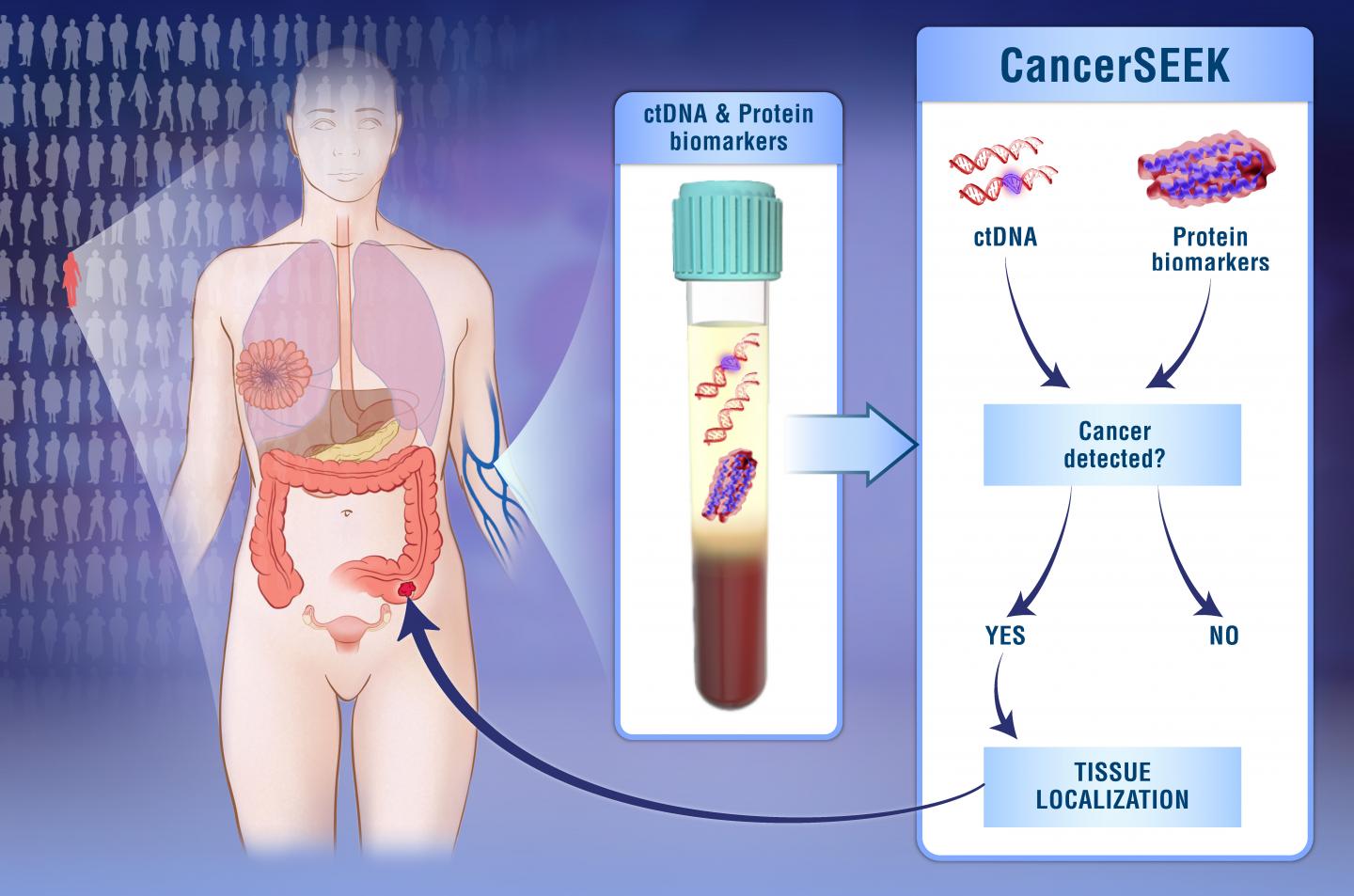 Blood test detects several cancer types