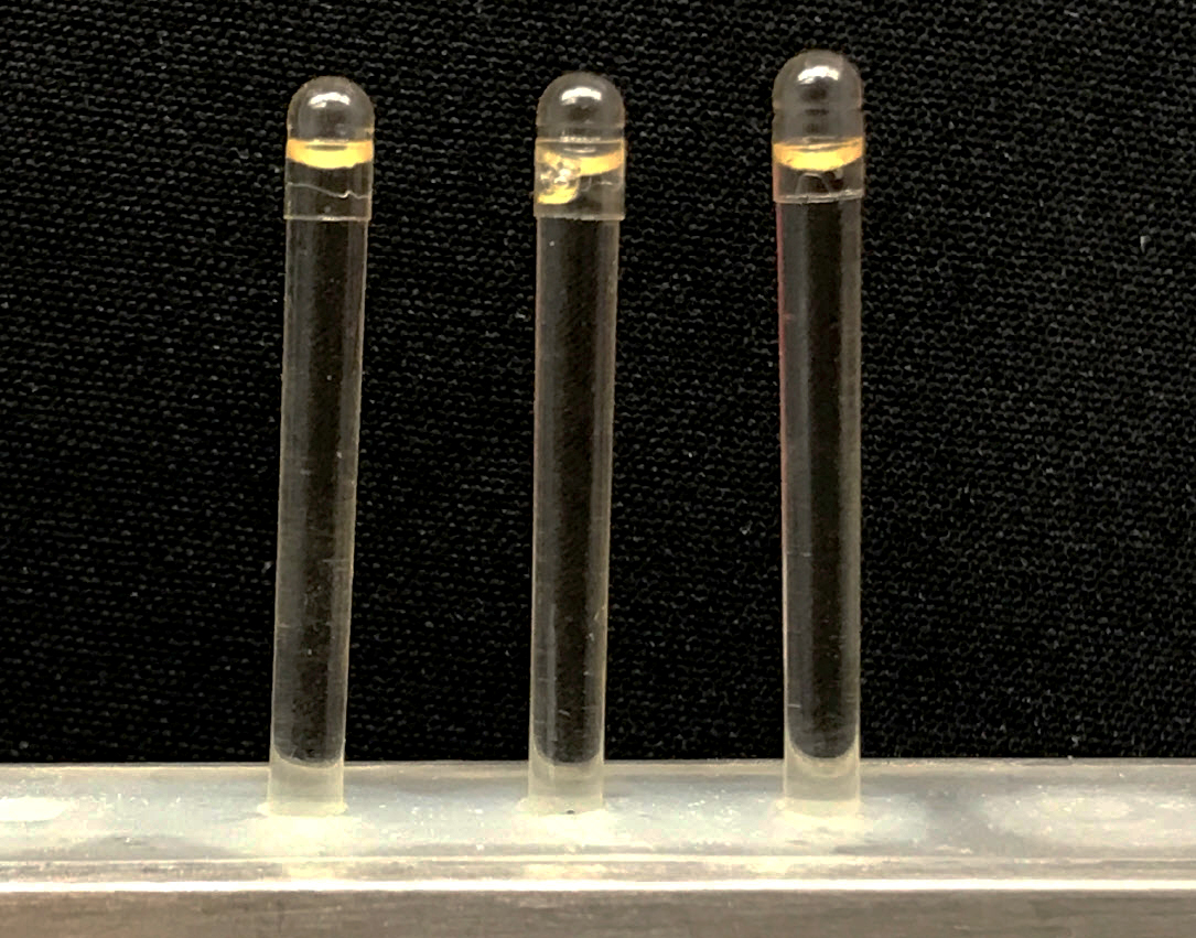 Enlarged photo of elongated capsules 