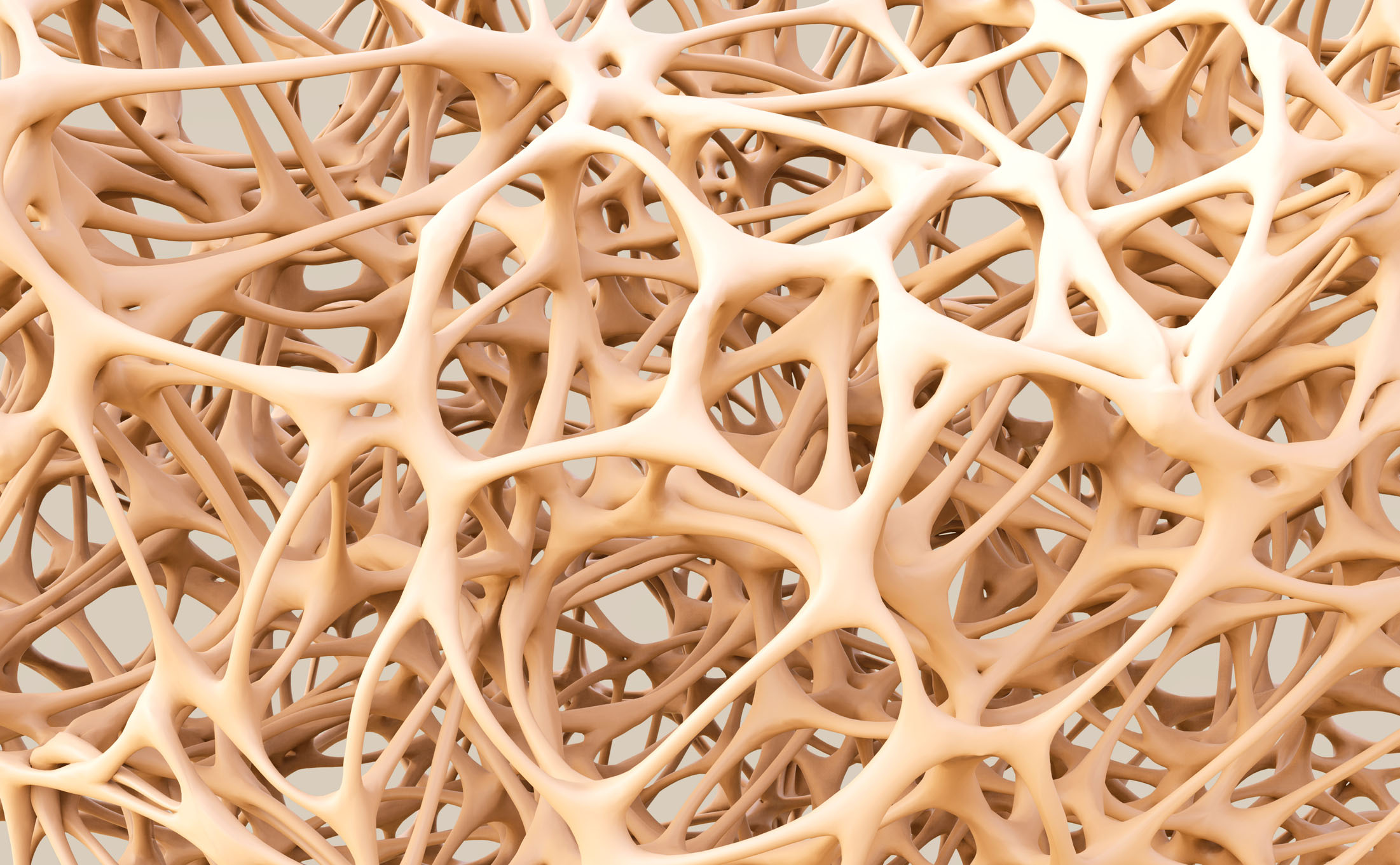 Abstract illustration of bone structure