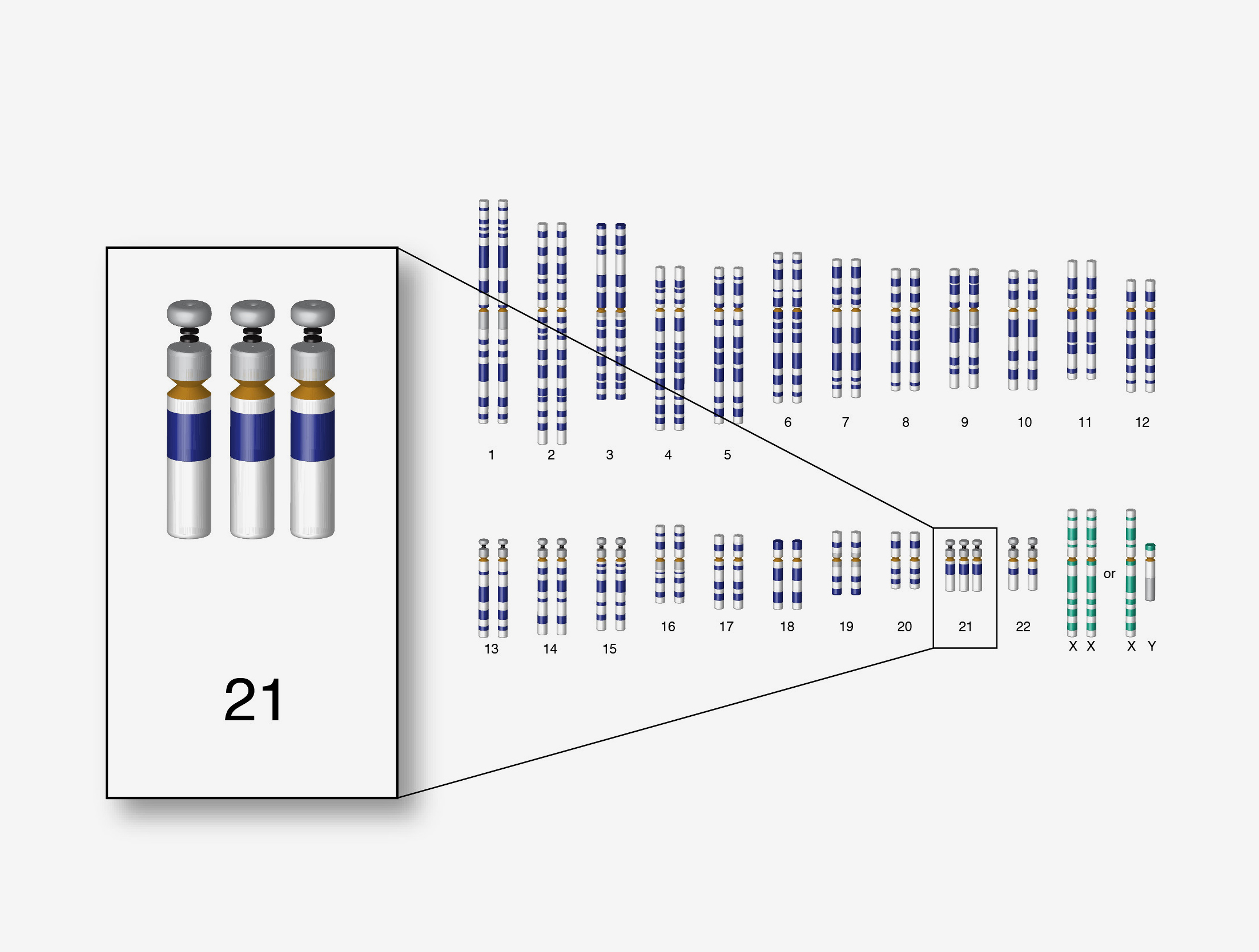 Down syndrome chromosome set