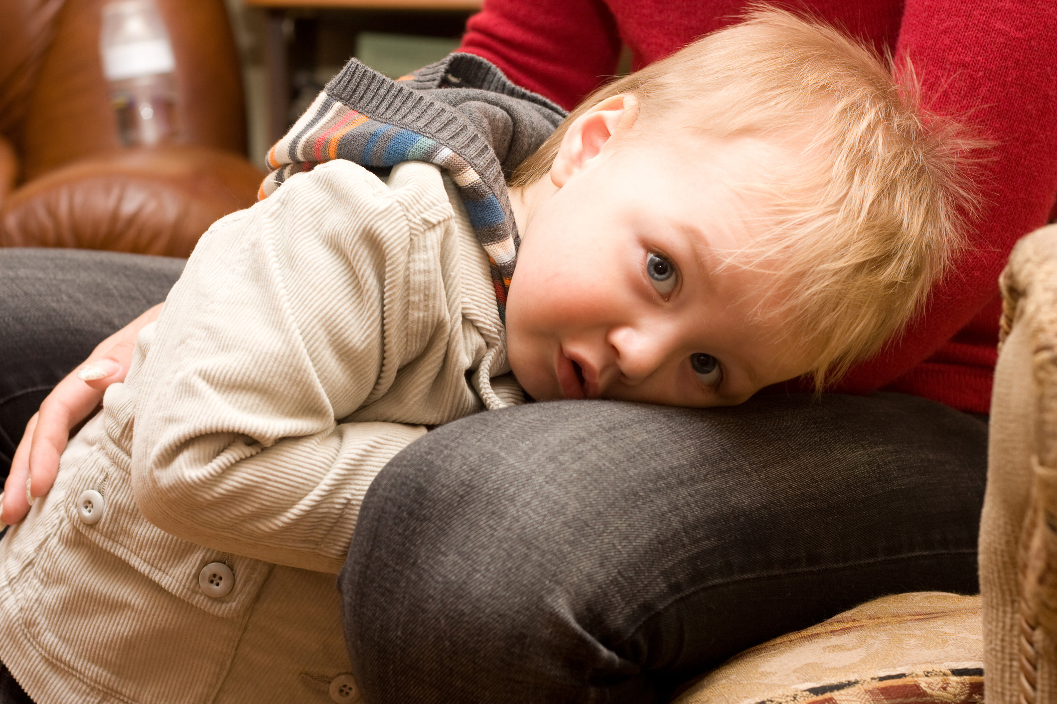 Young boy hiding between a parent’s knees