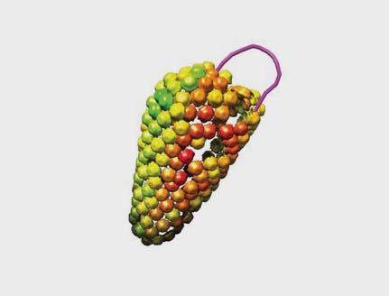Electron micrographs and illustration showing reverse transcription by the HIV capsid Electron micrographs and illustration showing reverse transcription by the HIV capsid