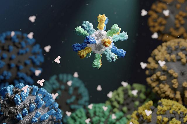 Mosaic nanoparticle vaccine Nanoparticle with different colored proteins on surface