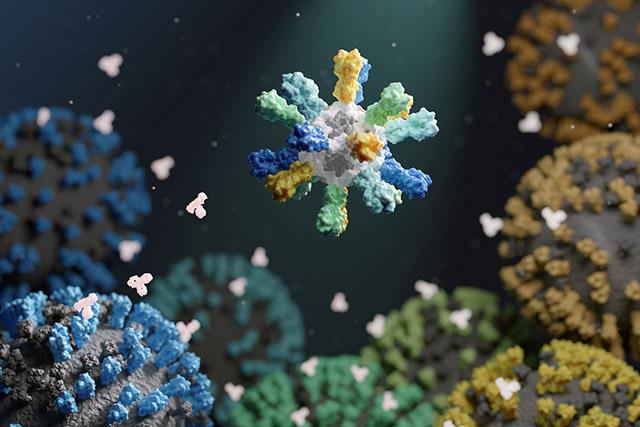 Nanoparticle with different colored proteins on surface