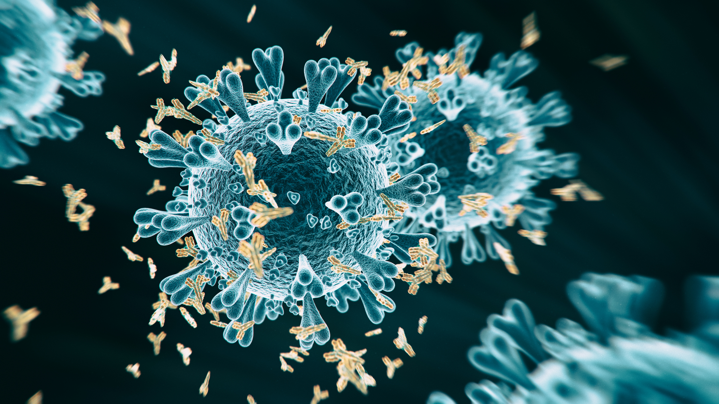 New SARS-CoV-2 Target Could Boost Immunity Against All Coronaviruses