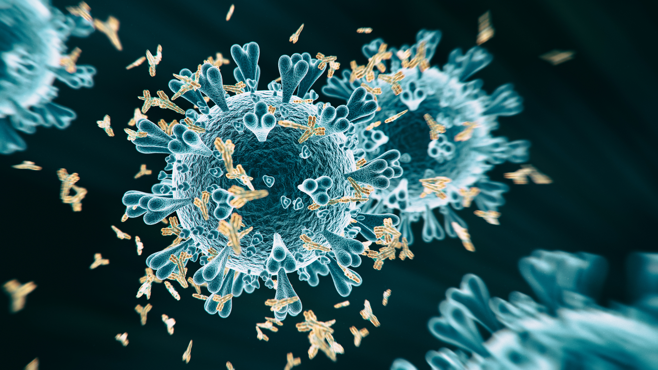 Coronavirus spike proteins may evolve to evade human immune system