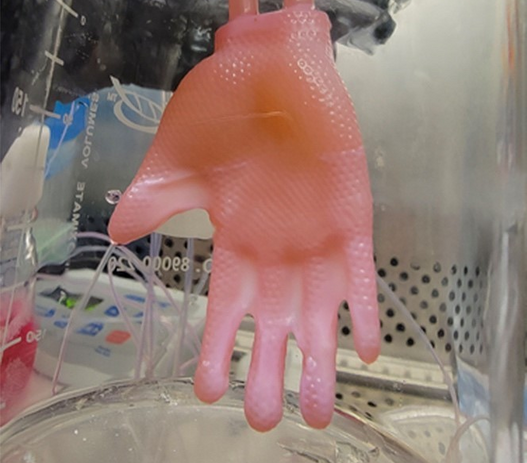 Glove made of bioengineered skin connected to ports for culture infusion in the laboratory