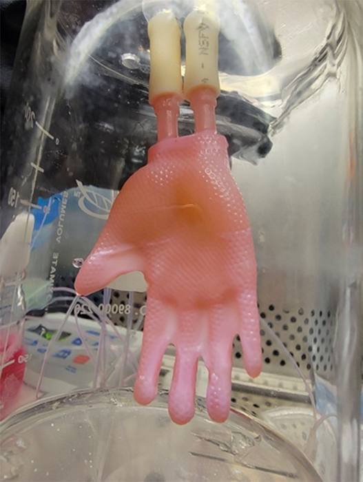 Glove made of bioengineered skin connected to ports for culture infusion in the laboratory Glove made of bioengineered skin connected to ports for culture infusion in the laboratory