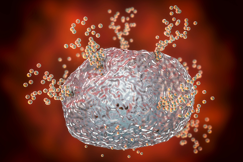 Illustration of a mast cell releasing histamine Illustration of a mast cell releasing histamine
