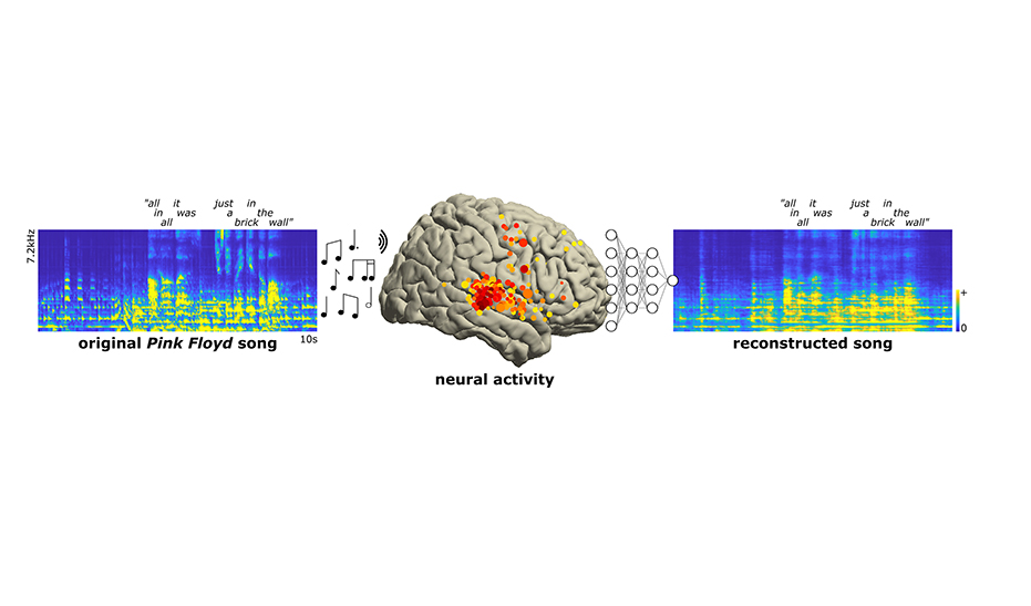 Left, an auditory spectrogram of the original song, with the words “all in all it was just a brick in the wall” marked along the ten-second timeline. At center is a brain illustration with yellow and red dots highlighting parts of the brain that showed ne Left, an auditory spectrogram of the original song, with the words “all in all it was just a brick in the wall” marked along the ten-second timeline. At center is a brain illustration with yellow and red dots highlighting parts of the brain that showed ne