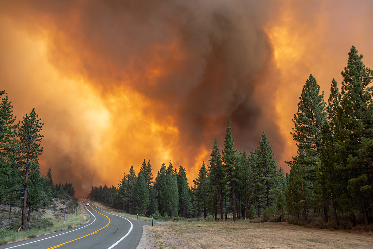 A lone car far in the distance travels on a highway away from a large, blazing forest fire. A lone car far in the distance travels on a highway away from a large, blazing forest fire.