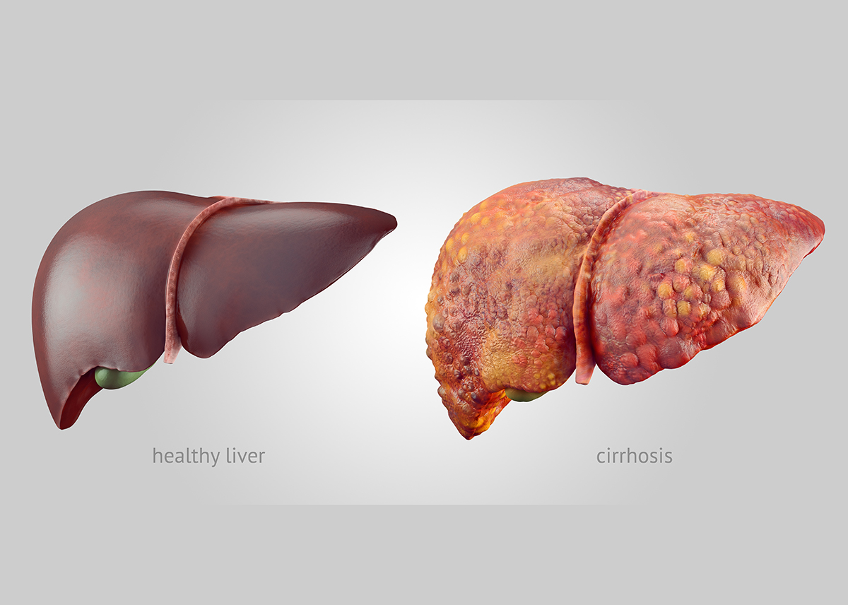 Liver