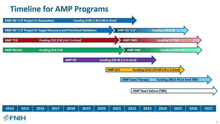Timeline for AMP Partners