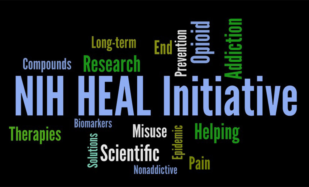 HEAL Initiative wordcloud