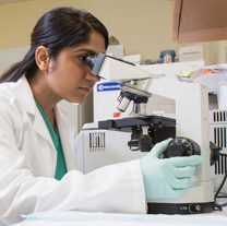 Female researcher looking through a microscope A female researcher looks through a microscope.