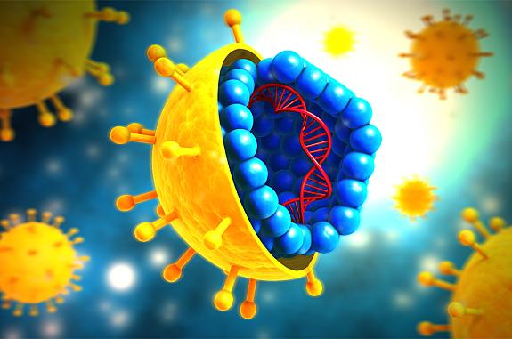 Illustration of hepatitis C virus.