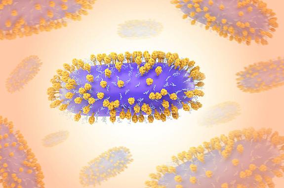 Creative artwork featuring 3D renderings of respiratory syncytial virus (RSV)—a common contagious virus that infects the human respiratory tract.