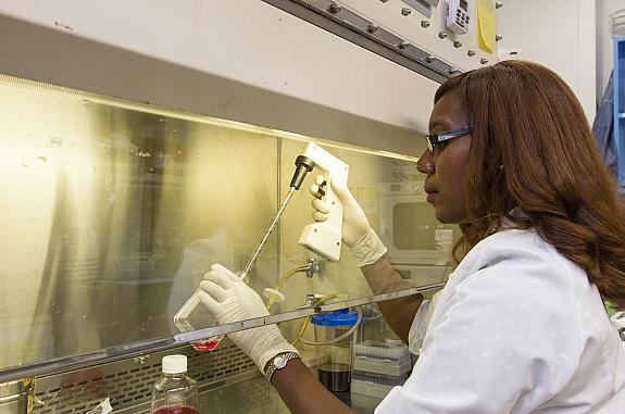 An NCI Training Fellow conducts research under a fume hood.