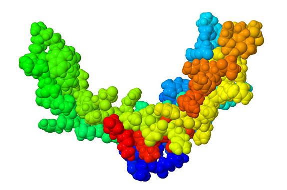 Molecular model of sclerostin protein, which is a target for the osteoporosis drug romosozumab.
