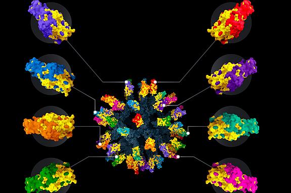 Illustration of nanoparticle vaccine with numerous different colored regions