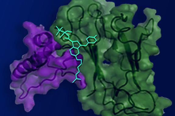 Illustration of small compound bound within cannabinoid receptor type 1.