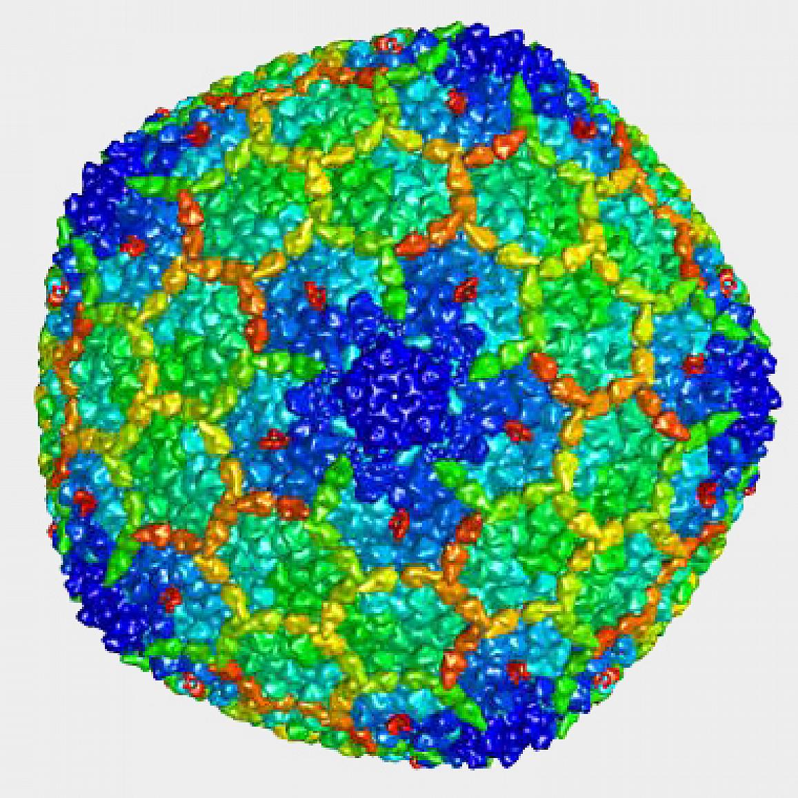 Memory Gene Goes Viral