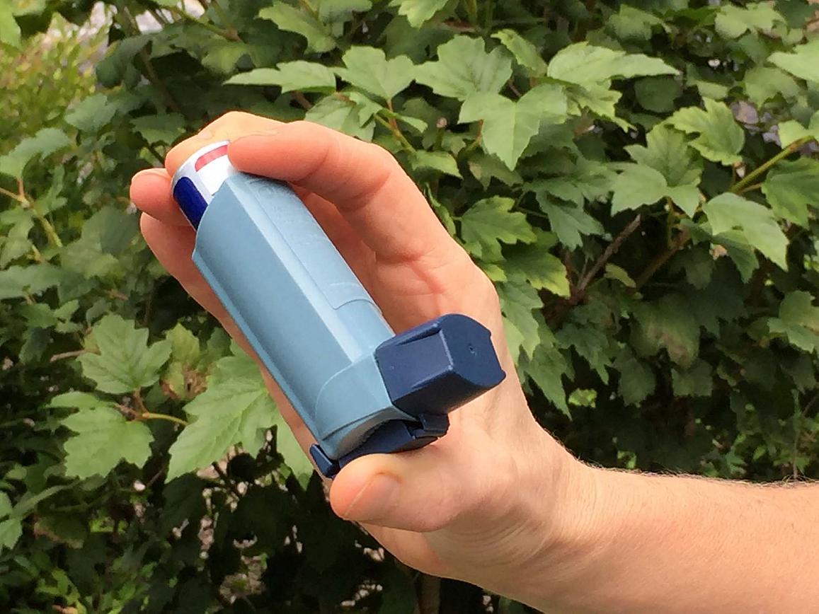 Image of a person holding an asthma inhaler.