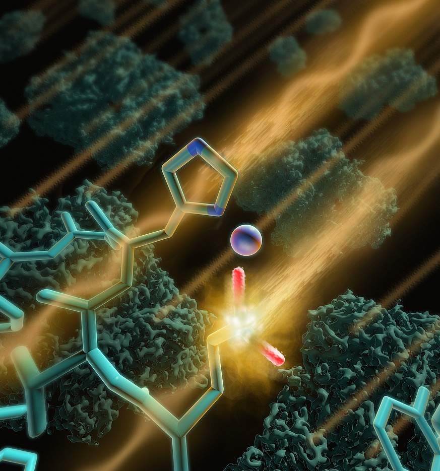 Molecular Freeze-frame  National Institutes of Health (NIH)