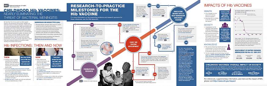 Screenshot of the Childhood Hib Vaccines Case Study.