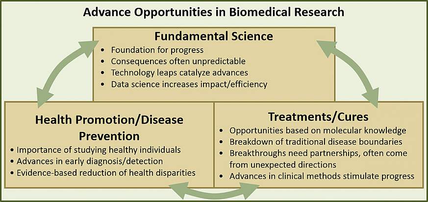 Advance Opportunities in Biomedical Research