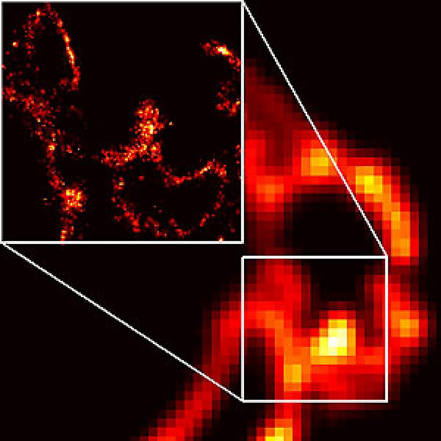 new PALM microscopy