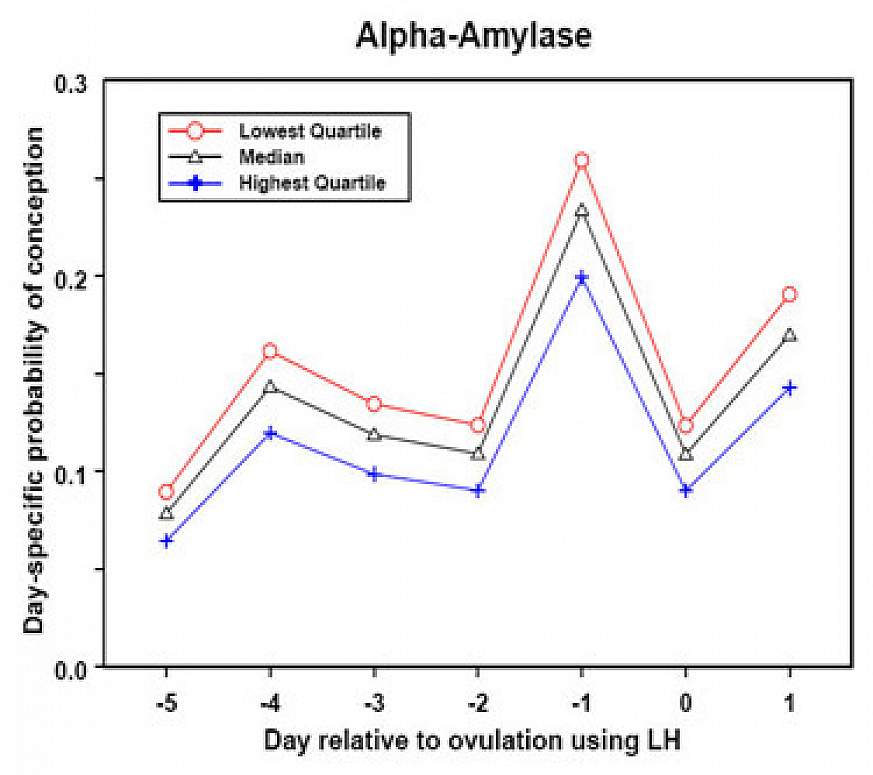 Line graph shows the saliva levels of alpha-amylase for women in the study
