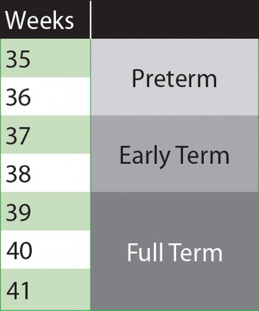 graph of term pregnancies