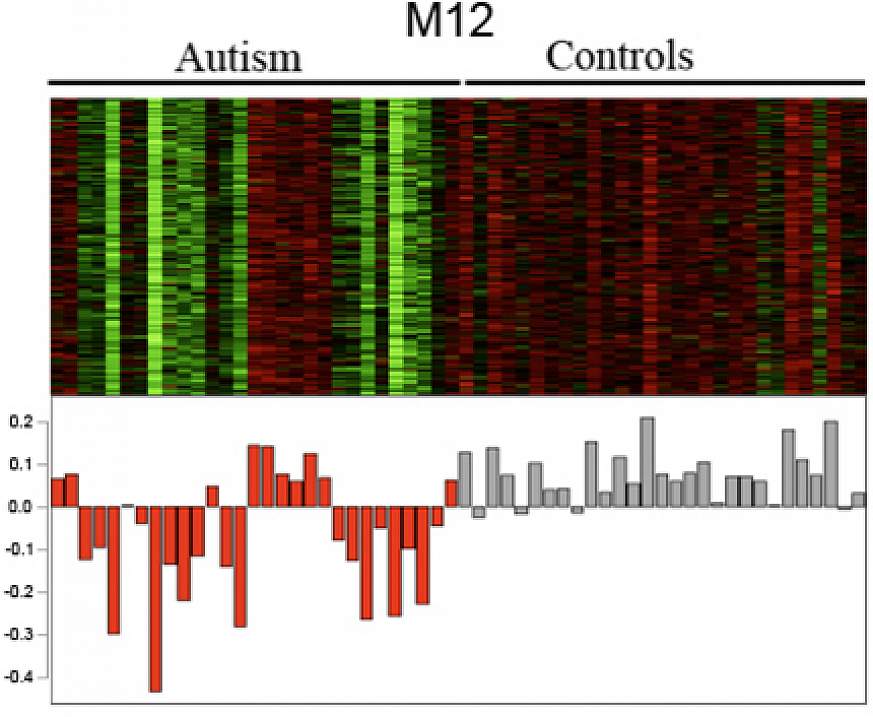  Graph displaying genetic differences of autism 