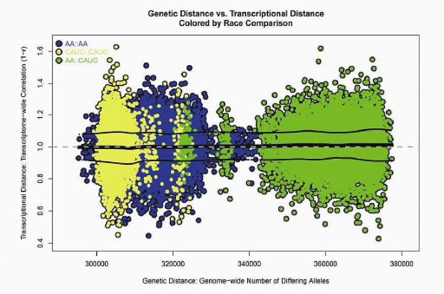 Views of the open and closed AQP0 channel.