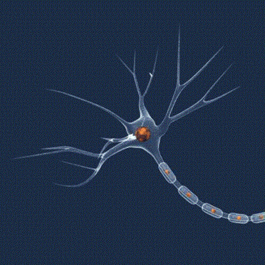 Electrical activity in the brain